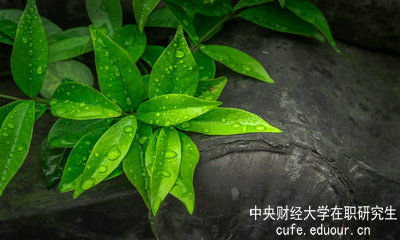 中央財(cái)經(jīng)大學(xué)同等學(xué)力申碩達(dá)到多少分才算通過考試？