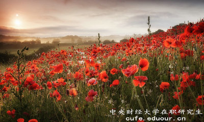 2018年免試入學(xué)的中央財經(jīng)大學(xué)在職研究生單位認(rèn)可嗎？