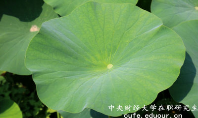 2018年中央財(cái)經(jīng)大學(xué)在職研究生可以獲得雙證嗎？