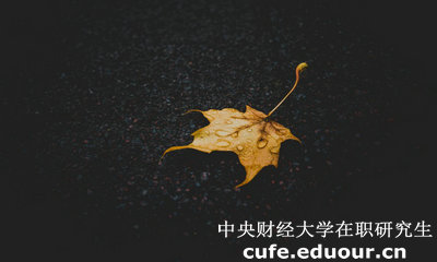 中央財(cái)經(jīng)大學(xué)在職研究生與課程研修班有哪些區(qū)別？