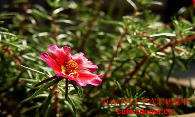 中央財(cái)經(jīng)大學(xué)在職研究生一般念多久？