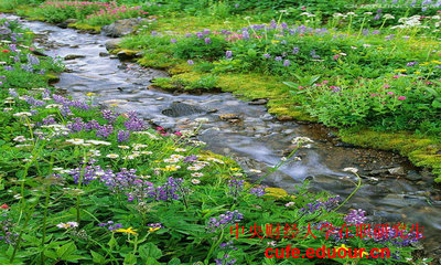 中央財(cái)經(jīng)大學(xué)在職研究生都是單證嗎？