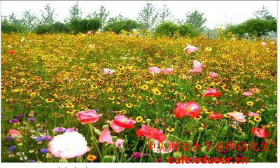 2018年中央財(cái)經(jīng)大學(xué)投資學(xué)在職研究生招生嗎？