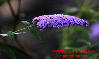 2018年中央財經(jīng)大學雙證在職研究生報名什么時候？