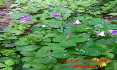 2018年中財在職研究生現(xiàn)場確認倒計時