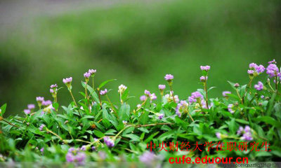 中財(cái)北京在職研究生招生專業(yè)？