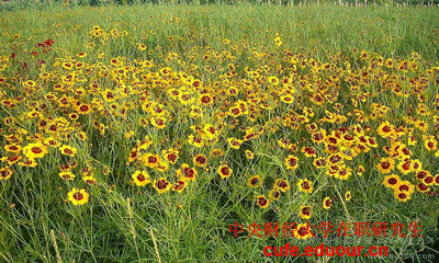 2018年中央財經(jīng)大學(xué)在職研究生雙證現(xiàn)場確認(rèn)開始了嗎？