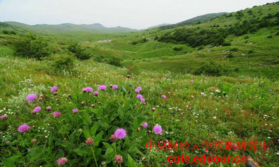 中國(guó)財(cái)經(jīng)大學(xué)在職研究生可以不考試么？