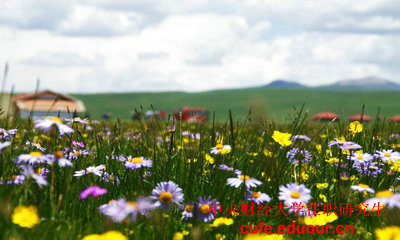 報考央財在職研究生學位證沒有可以嗎？