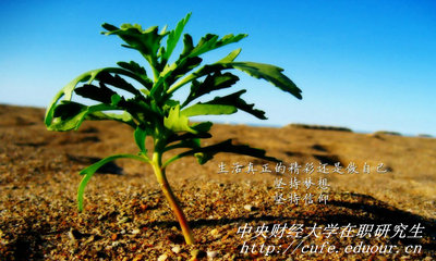 中央財經大學在職研究生同等學力申碩有哪些優(yōu)勢？