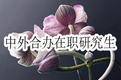 中央財經(jīng)大學在職研究生