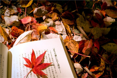 中央財經(jīng)大學(xué)在職研究生